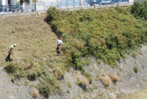 débroussaillage de talus / travaux sur corde