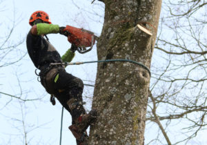 Démontage manuel d’un arbre