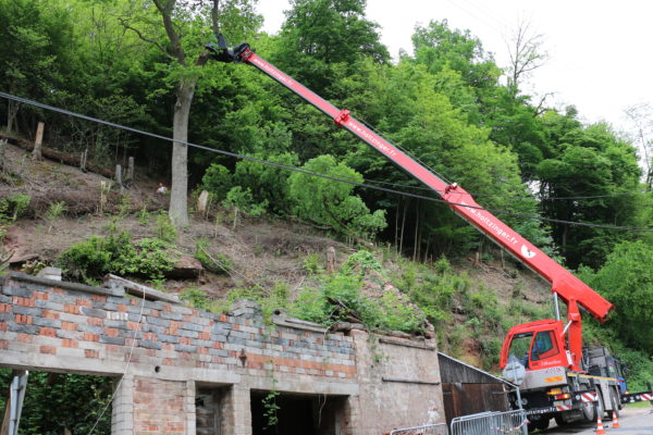 Démontage d’un arbre dans une commune