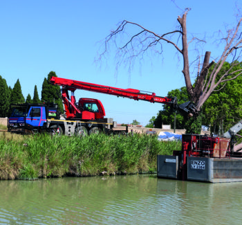 abattage mécanisé au tree trimmer et tête d’abattage