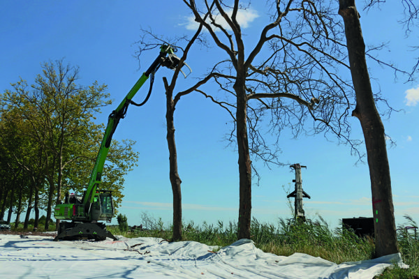 tree trimmer tenant une cime avant de le déposer dans une barge