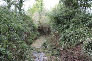 abords de cours d’eau débroussaillés