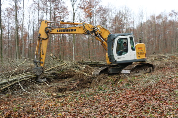 élagueuse Jarraff entretient une lisière de forêt sous lignes électriques