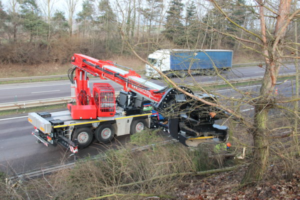 abattage d’arbre au tree trimmer