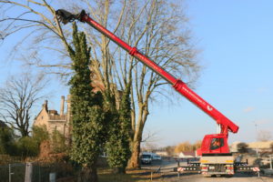 Tree Trimmer et sa tête d’abattage