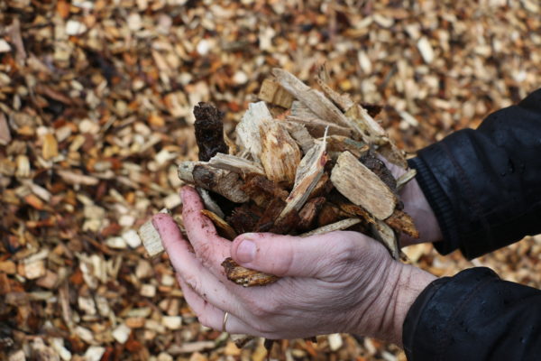 plaquettes de bois gros calibre