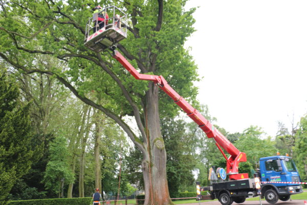 taille sanitaire en nacelle dans un parc urbain