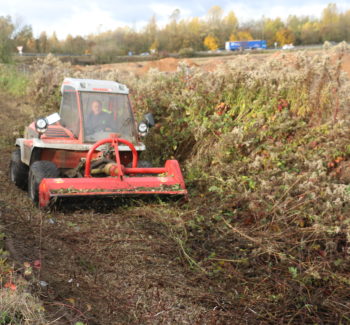 broyage de broussailles au tracteur reform