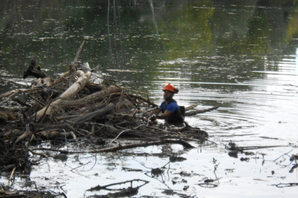 nettoyage d’embâcle sur cour d’eau