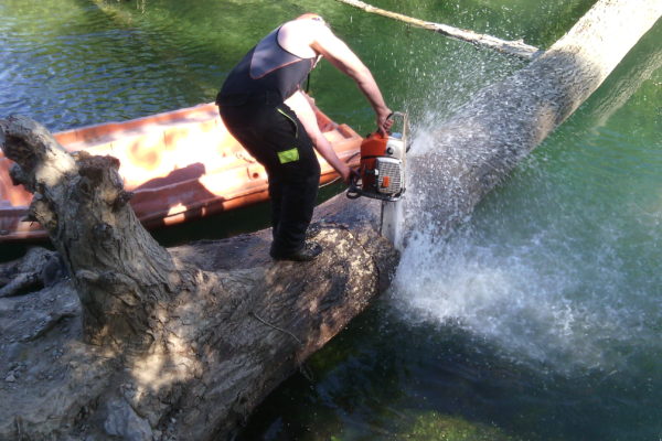 tronçonnage de tronc encombrant un cour d’eau