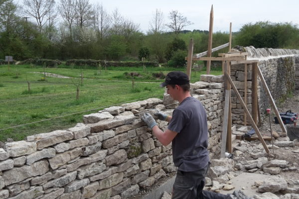 reconstruction du mur de pierres sèches