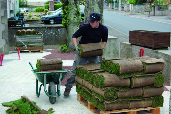 déchargement et mise en oeuvre des rouleaux de placage