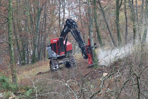 abattage des arbres au Feller Buncher