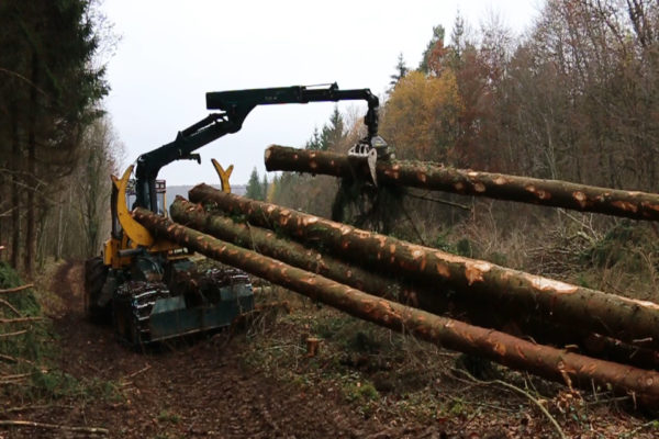 chargement au porteur forestier et débusqueur