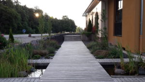 allée paysagère - terrasse bois - bassin