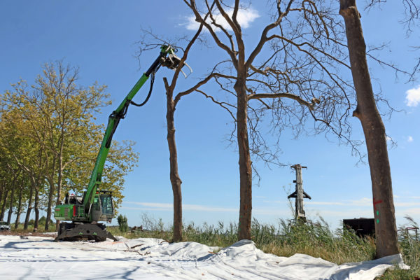 Abattage mécanisé d’arbre à la pelle sennebogen et grappin d’abattage