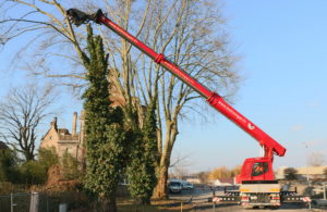 Abattage mécanisé au tree trimmer
