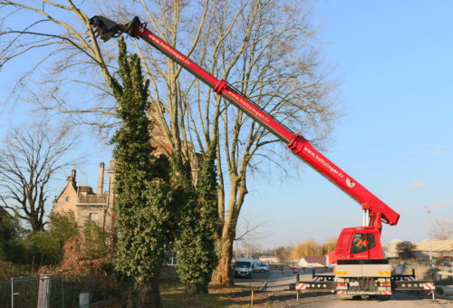 Abattage mécanisé au tree trimmer